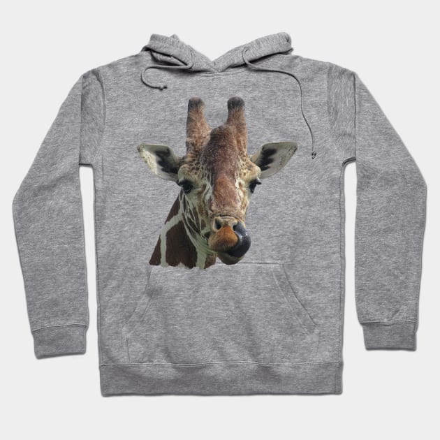 Funny Giraffe - Africa Hoodie by T-SHIRTS UND MEHR